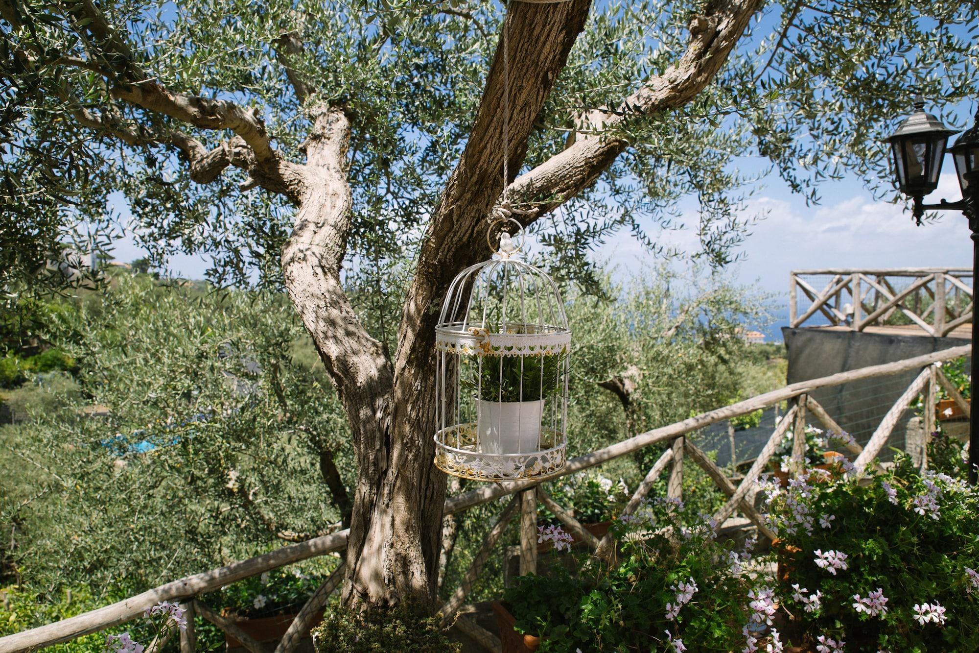 Villa Carolina Sorrento Private Heated Pool And Sea View Экстерьер фото