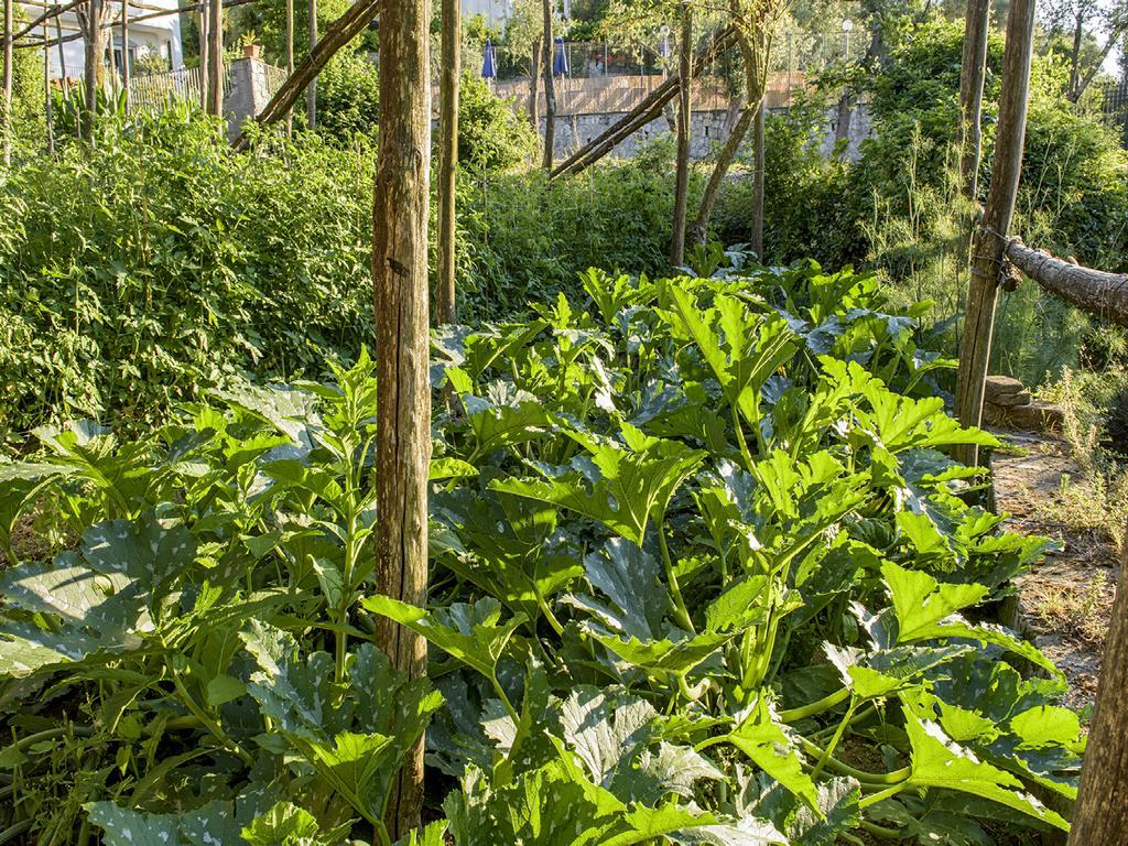 Villa Carolina Sorrento Private Heated Pool And Sea View Экстерьер фото