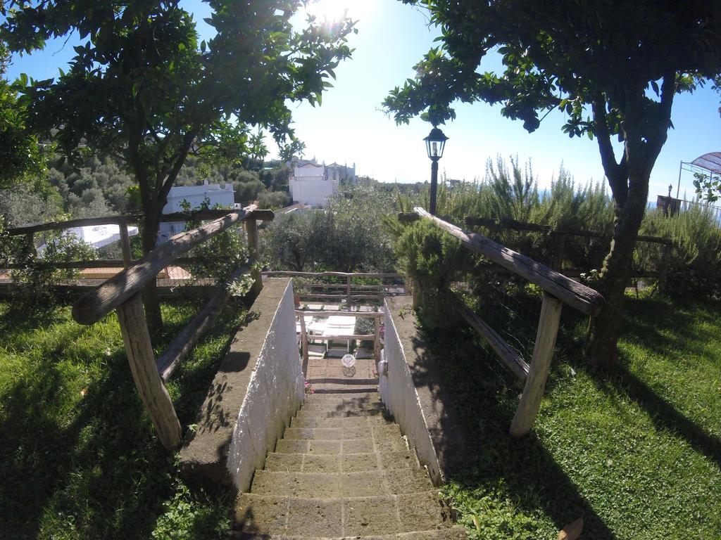 Villa Carolina Sorrento Private Heated Pool And Sea View Экстерьер фото